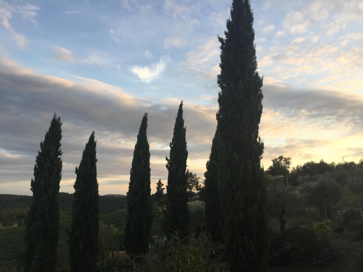 Agriturismo Malpensata Radda in Chianti Buitenkant foto
