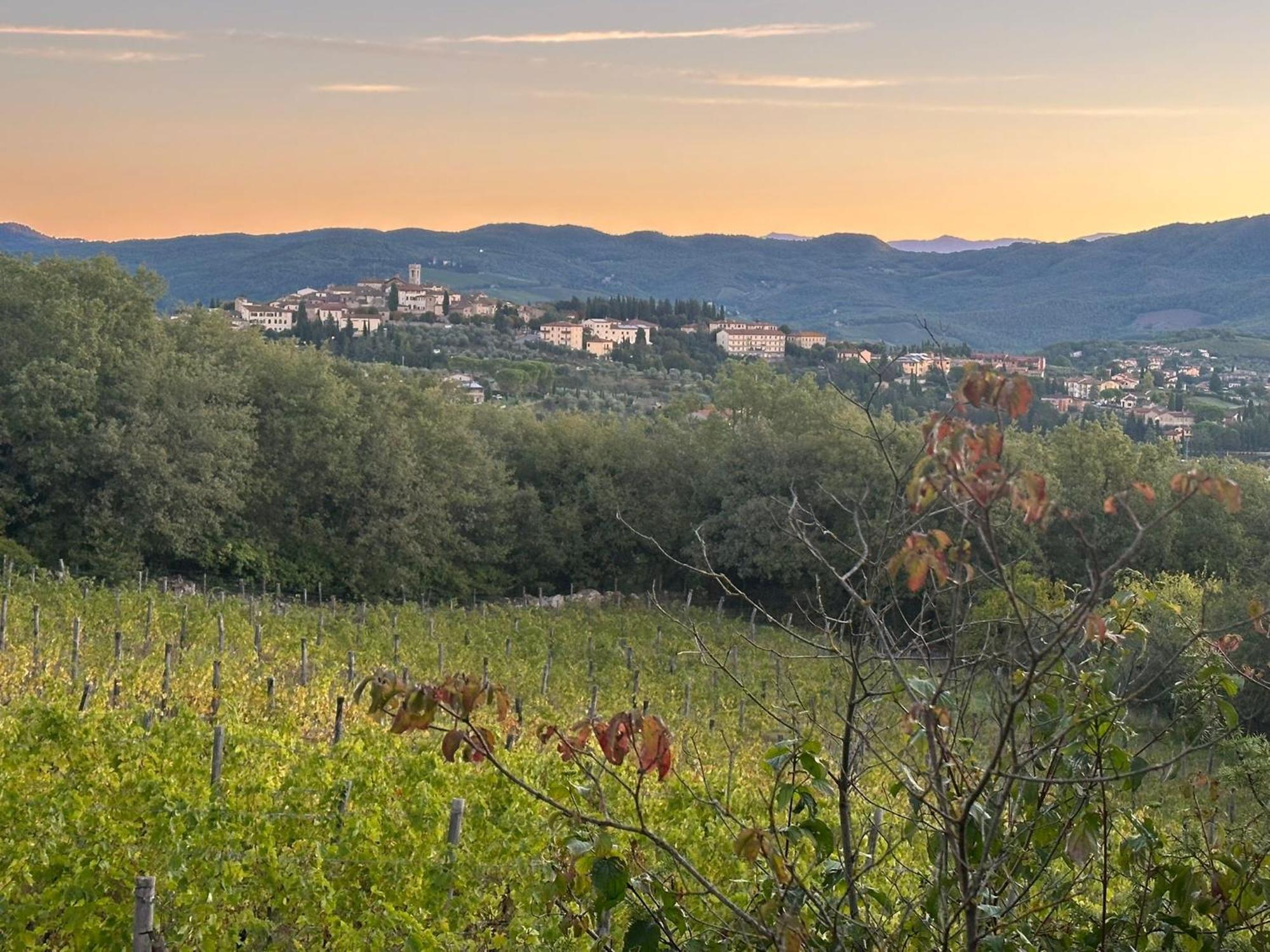Agriturismo Malpensata Radda in Chianti Buitenkant foto