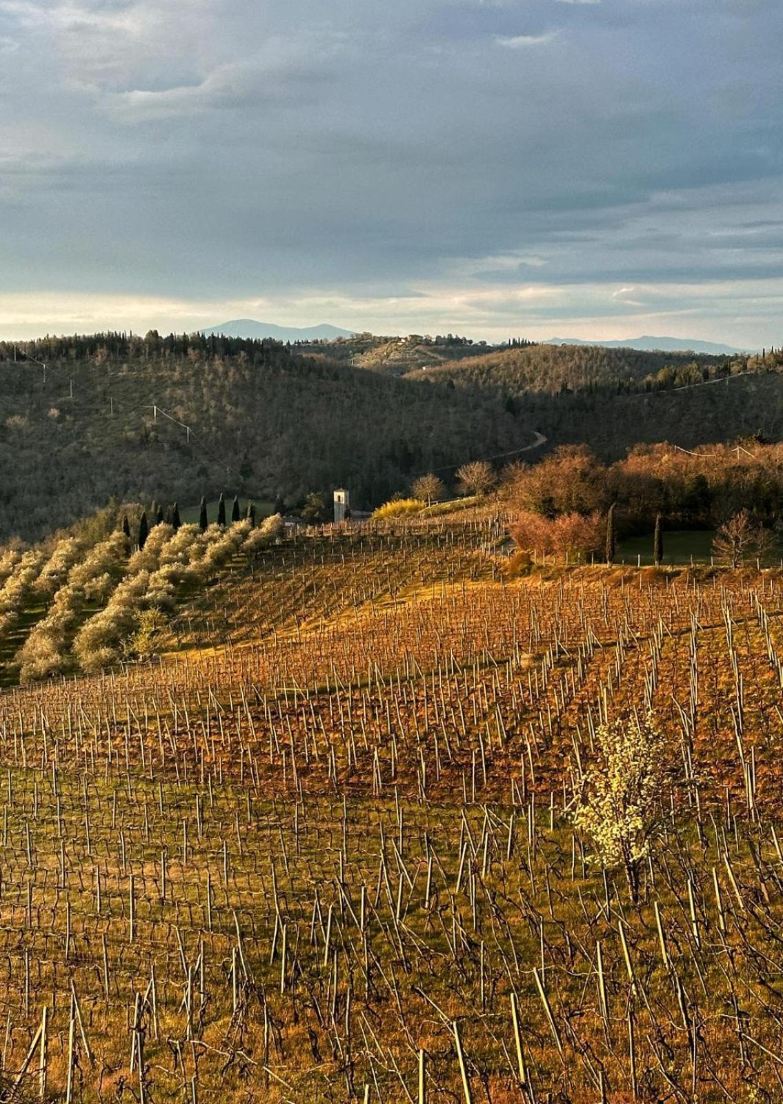 Agriturismo Malpensata Radda in Chianti Buitenkant foto